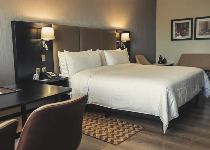 Pet Friendly hotel: Radisson Hotel Santa Cruz